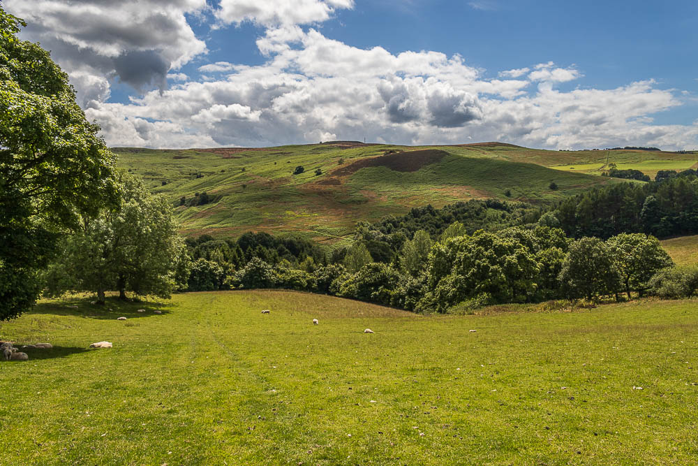 Eyam Moor